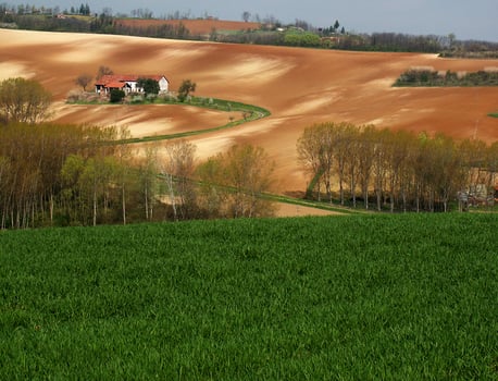 countryside view in spring photo