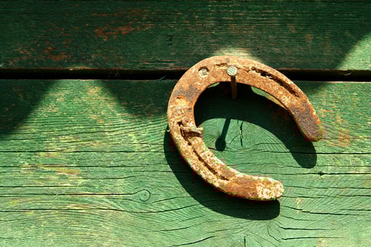 a horse shoe on a wooden wall photo