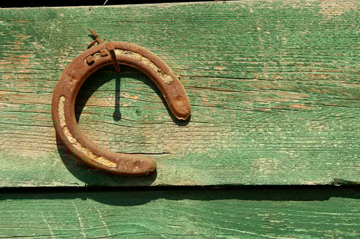 a horse shoe on a wooden wall photo