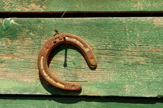 a horse shoe on a wooden wall photo