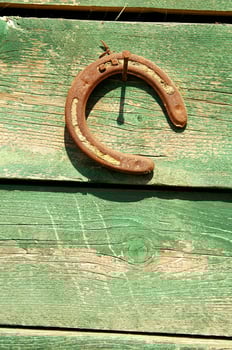 a horse shoe on a wooden wall photo