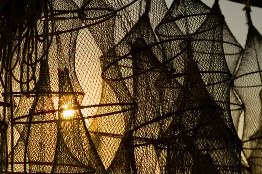 a group of fishing nets in the sun photo