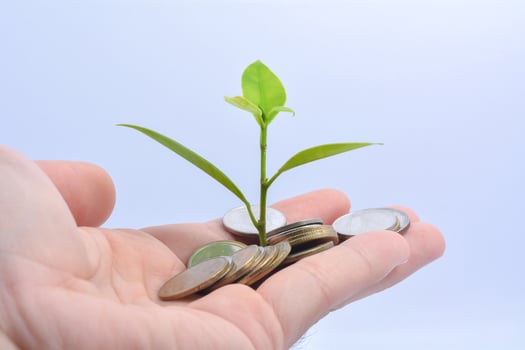 Tree growing on gold and silver coins , investing with small amounts of money coin savings photo