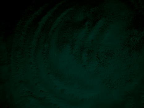 green clean wool texture background abstract. gradient black natural hair wool. white seamless cotton. texture of fluffy fur for designers. close-up fragment white wool carpet. photo