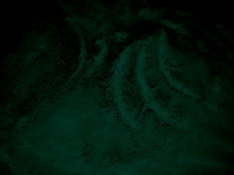 green clean wool texture background abstract. gradient black natural hair wool. white seamless cotton. texture of fluffy fur for designers. close-up fragment white wool carpet. photo