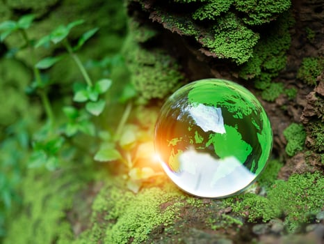 Crystal ball on moss in green forest. Environment concept Ecology and Sustainable Environment of the World. Earth day concept. photo