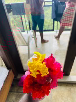 Amazing beautiful photo shot on iphone apple. Nature photo, food, drink, restaurant, burger, pizza, juice
