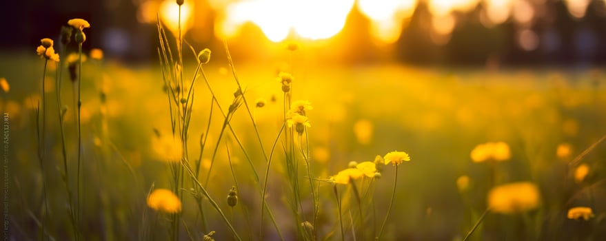 Tranquil spring summer nature closeup and blurred forest background. Generative AI photo