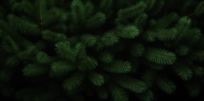 Green fir background photo