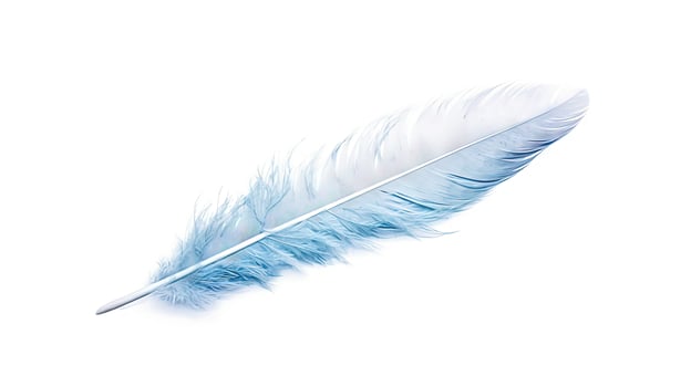 Bird feather on white background. Beautiful bird plumage or wing element, isolated smooth feather. Generated AI. photo