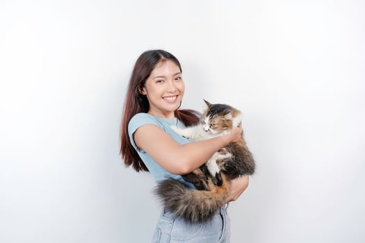 Portrait of young Asian woman holding cute angora cat with yellow eyes. Female hugging her cute long hair kitty isolated by white background. Adorable domestic pet concept. photo
