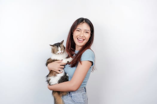 Portrait of young Asian woman holding cute angora cat with yellow eyes. Female hugging her cute long hair kitty isolated by white background. Adorable domestic pet concept. photo
