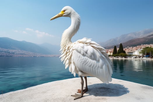 national bird of Montenegro photo
