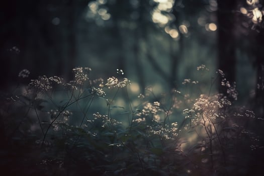 AI generated Dried flowers in the forest. Autumn background photo