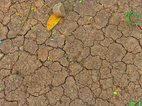 Photo of land that looks barren or arid, barren land background