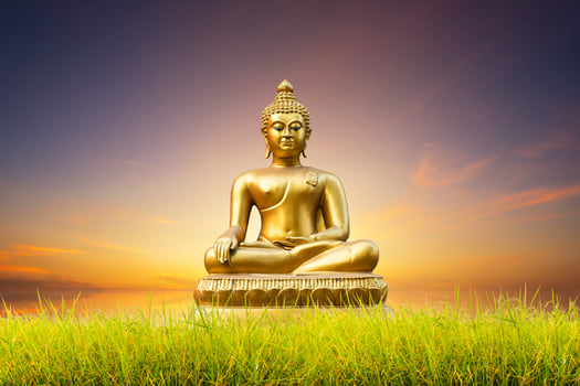 Beautiful green cornfield of Golden Buddha statue on blue dramatic sunset sky texture background. photo