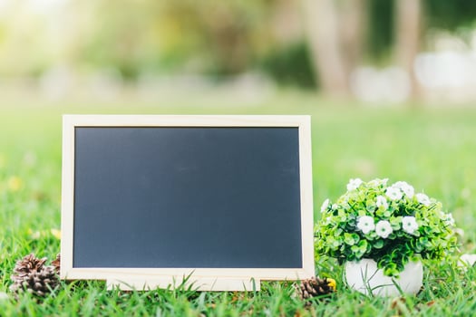 empty wooden blackboard and Flowerpot in square shape on green grass in the park background. photo