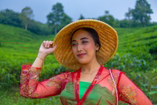 a tea leaf farmer holding a bamboo hat while working in the tea garden photo