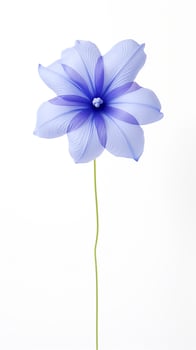 Photo of beautiful Balloon flower isolated on white background. Generative AI