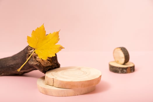 Podium or pedestal template mock up. Autumn scene composition for cosmetics photo