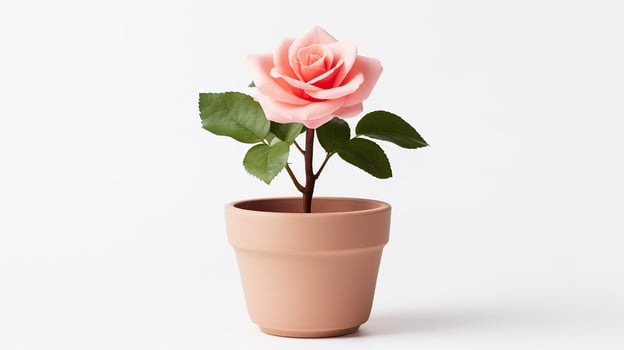 Photo of Rose flower in pot isolated on white background. Generative AI