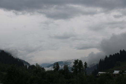 Scenic view of the natural beauty of Tao Butt, Neelum Valley, Kashmir.  Tao Butt is famous for its lush green trees and natural beauty. photo