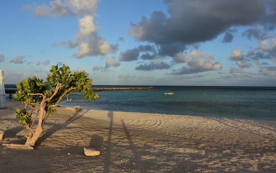 Sun Casting Early Morning Shadows on the Beach in Aruba photo