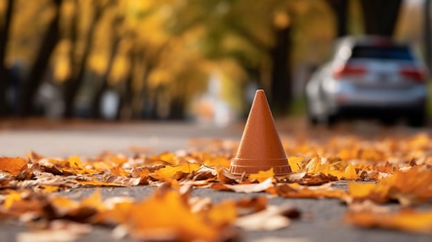 traffic cone on sidewalk surrounded by leaves photo