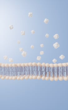 Cell membrane structure background, 3d rendering. photo