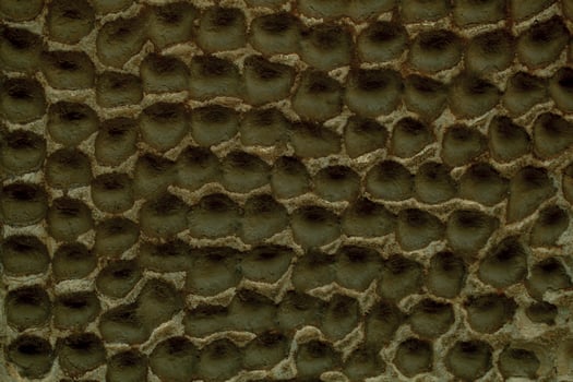 Decorative plaster on a wall with honeycomb effect photo