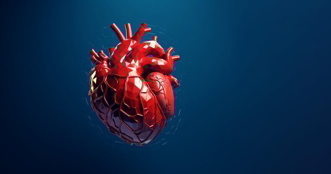 3d human heart on a blue background photo