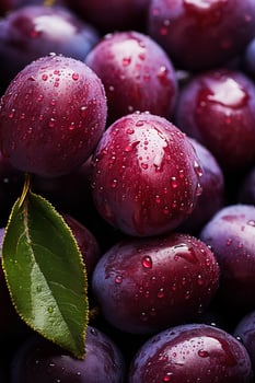 Ripe plums in autumn agricultural market photo