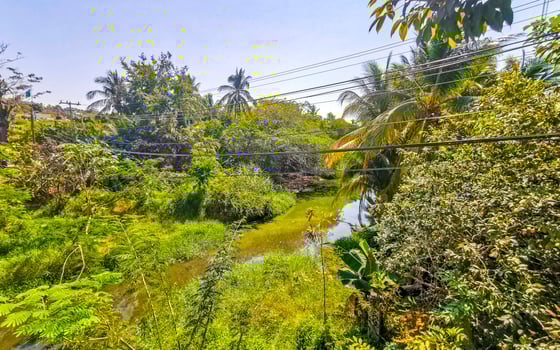 Green beautiful tropical river Freshwater Lagoon in Puerto Escondido Mexico. photo