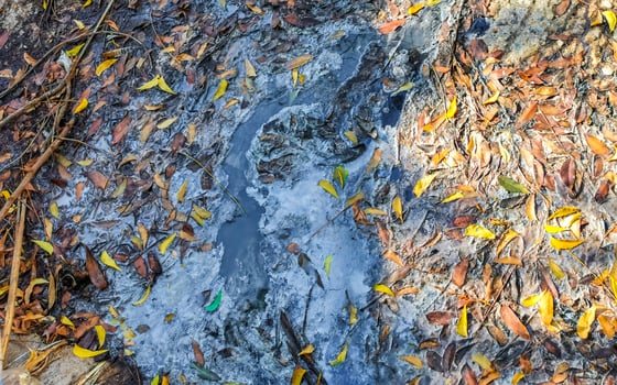 Open sewerage system in the tropical jungle mountains Mexico. photo
