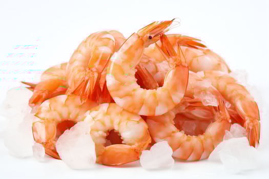 close up photo of shrimp on ice on white background