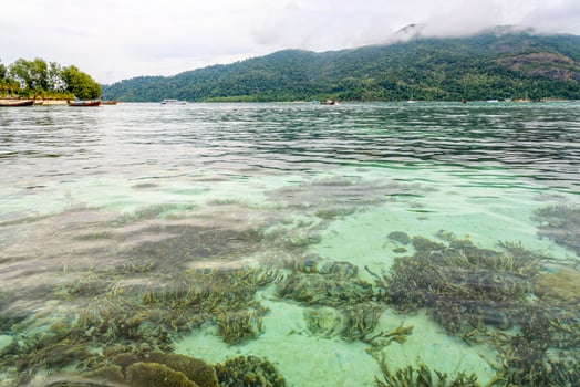 Clear green sea overlook the coral reefs of Koh Lipe island, Thailand photo