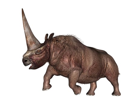 Elasmotherium rhinoceros with big horn roaring up - 3D render photo