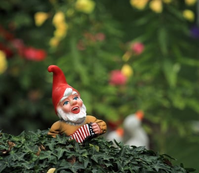 Garden dwarf or gnome photo