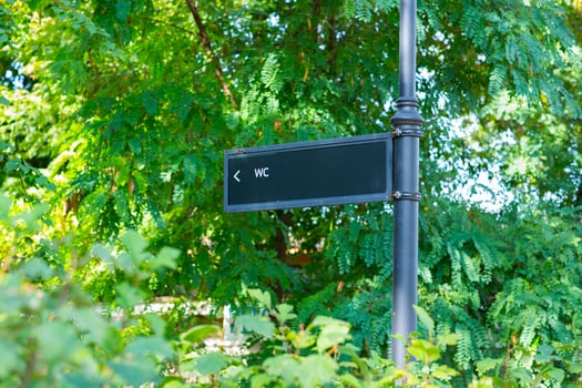 Outdoor park view photo