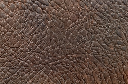 Brown leather texture background photo
