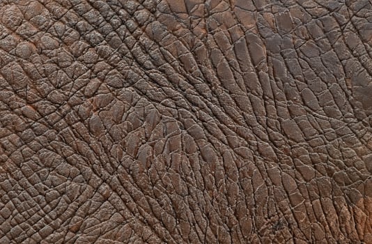 Brown leather texture background photo