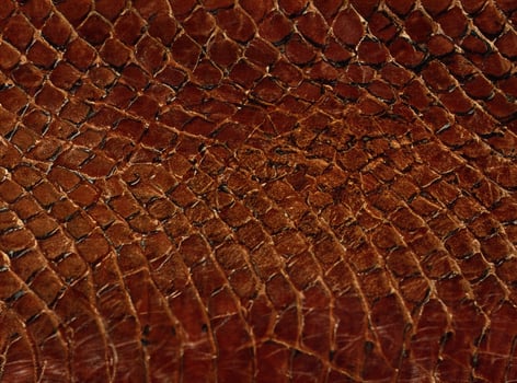Brown leather texture background photo