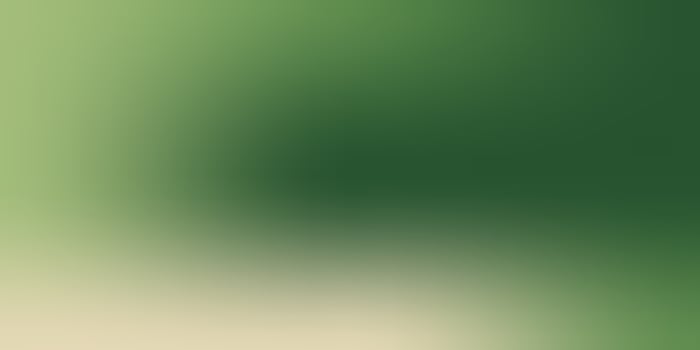 green color gradation background, vector design for banner, poster, greeting card, flyer, social media, wallpaper. photo