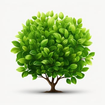 Green bush isolated photo
