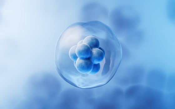 Transparent cell with biotechnology and cosmetic concept, 3d rendering. photo