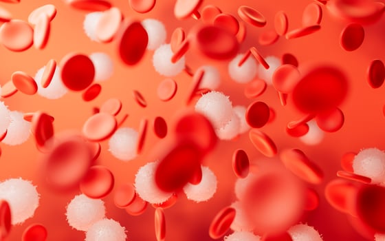 Blood and red blood cells, 3d rendering. photo