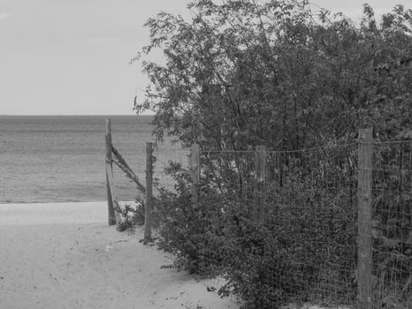 at the baltic sea nesar gdansk in poland photo