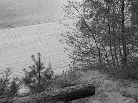 at the baltic sea in poland photo