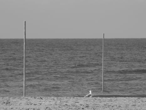 german island in the north sea photo