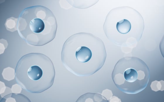 Biology cell with blue background, 3d rendering. photo